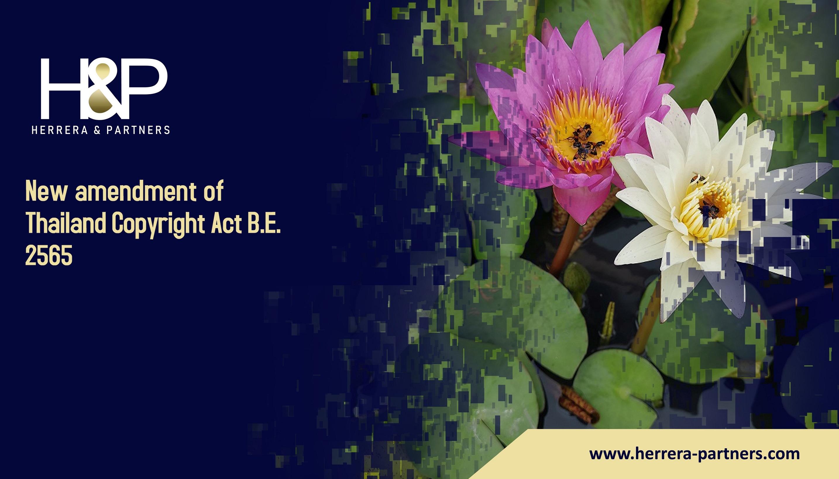New amendment of Thailand Copyright Act B.E. 2565 H&P Leading corporate law firm in Thailand