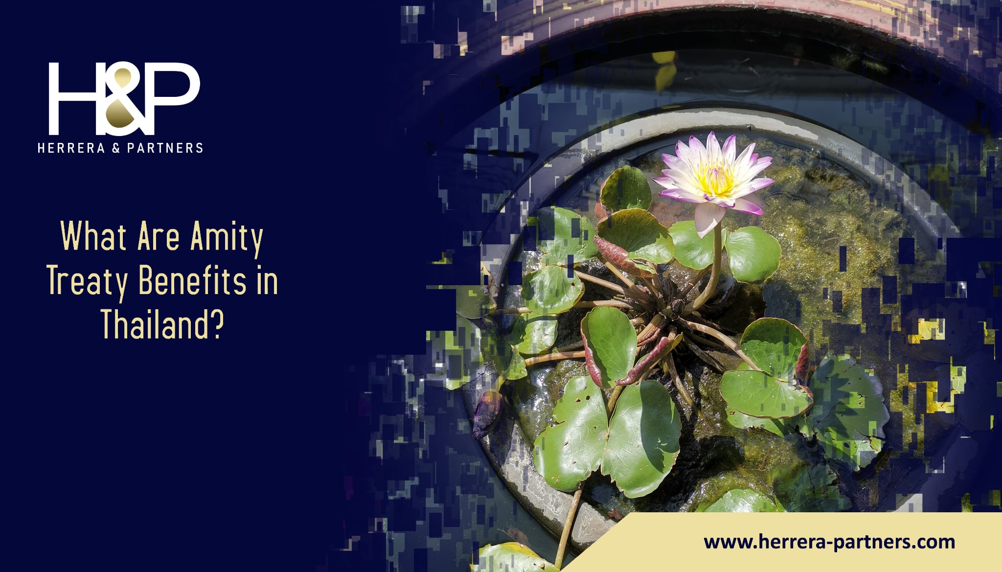 What are Amity Treaty benefits in Thailand