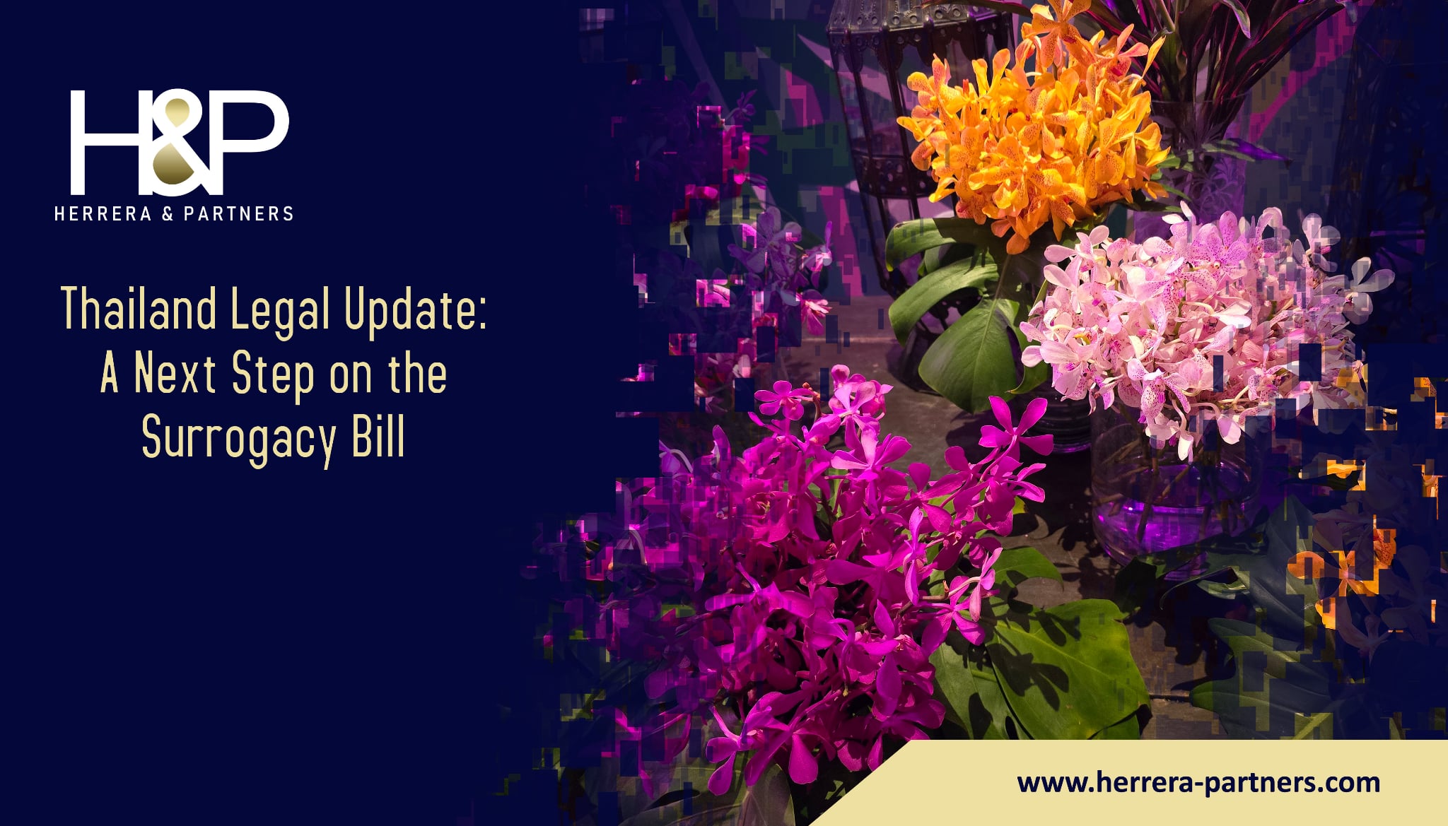 Thailand Legal Update A Next Step on the Surrogacy Bill H&P Herrera and Partners law firm in Bangkok for private clients