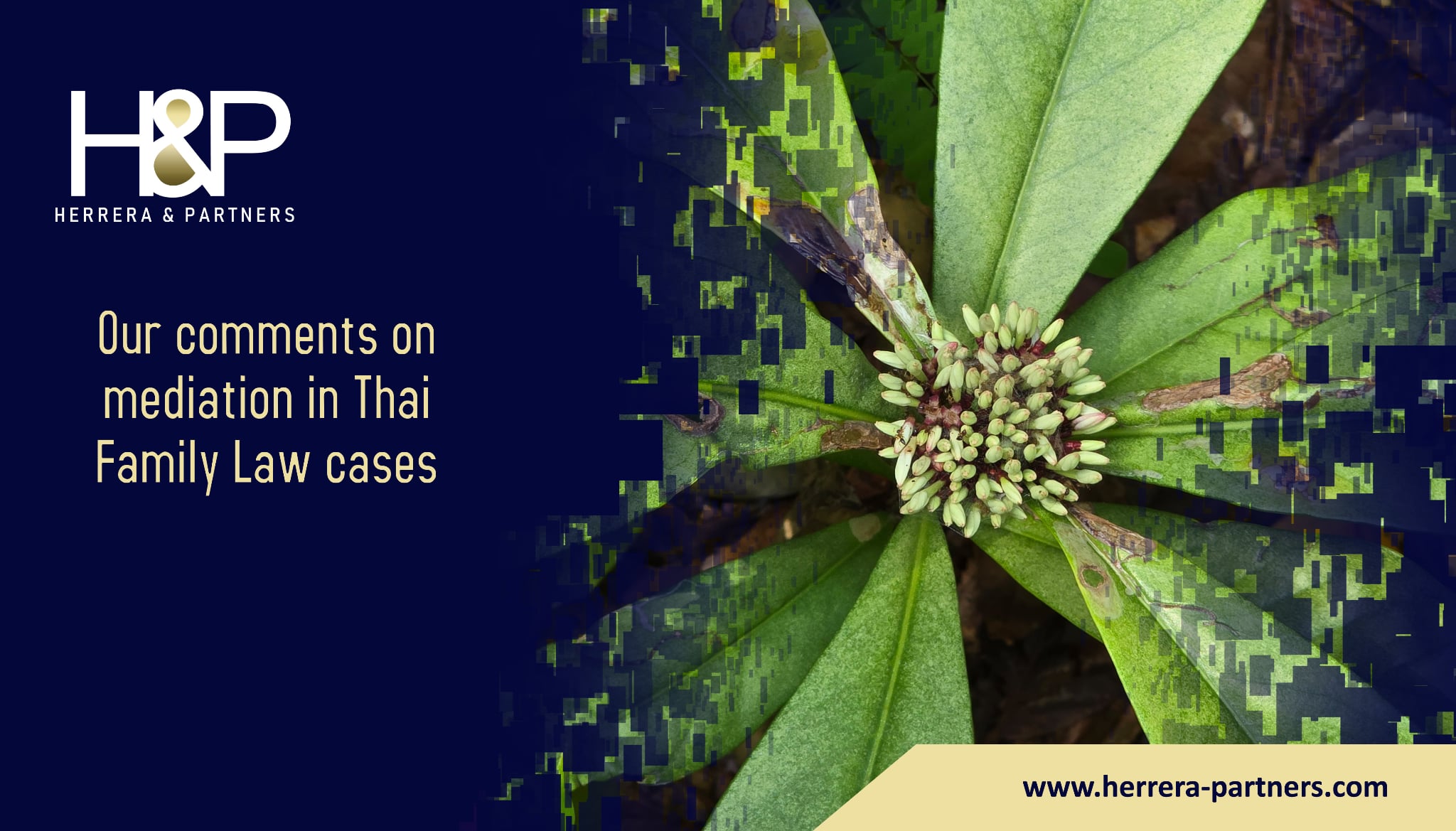 Our comments on mediation in Thai Family Law cases H&P Herrera and Partners Family lawyers in Thailand and Isaan